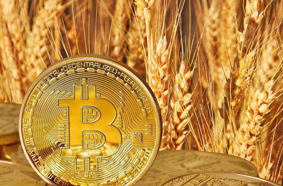 维卡币怎么投资(维卡币的投资价值)-第1张图片-欧易下载