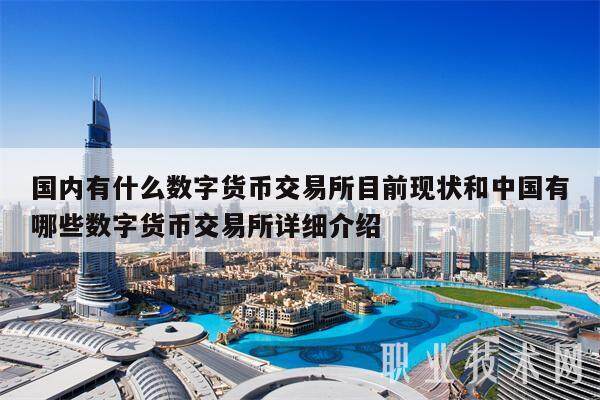 国内有什么数字货币交易所目前现状和中国有哪些数字货币交易所详细介绍-第1张图片-欧易下载