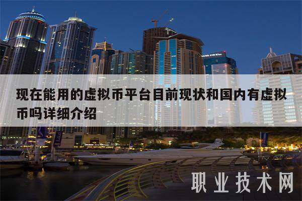现在能用的虚拟币平台目前现状和国内有虚拟币吗详细介绍-第1张图片-欧易下载