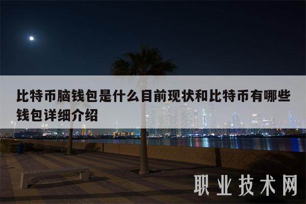 比特币脑钱包是什么目前现状和比特币有哪些钱包详细介绍-第1张图片-欧易下载