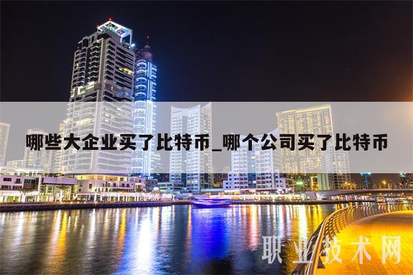 哪些大企业买了比特币_哪个公司买了比特币
