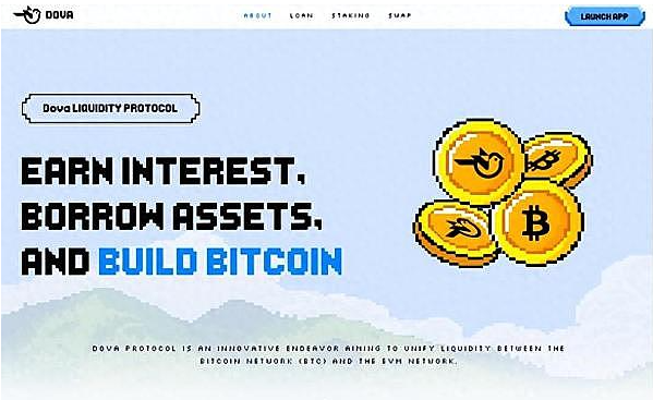 BTC生态进入多元化阶段，哪些生态值得关注？-第2张图片-欧易下载