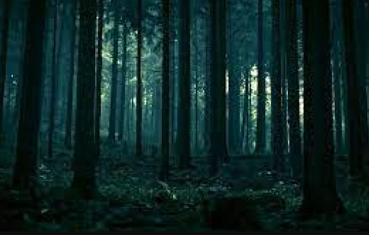 比特币中线剧情猜想：牛市周期确立 回调即为机会-第1张图片-欧易下载