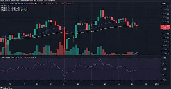 80%的BTC钱包都赚了，比特币真的进入新牛市了？-第6张图片-欧易下载