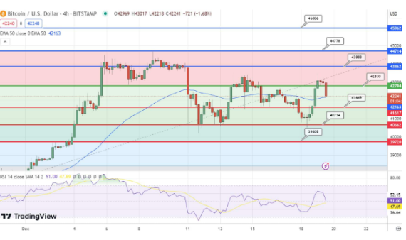 随着BTC上涨5.30%至43000美元　能否持续这种增长？-第2张图片-欧易下载