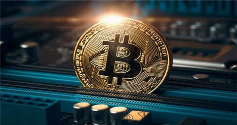 2023年最奇怪的加密货币趣事汇总-第1张图片-欧易下载