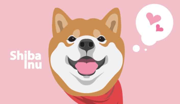 SHIB筹集了超过130万美元-第1张图片-欧易下载