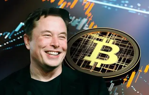 马斯克谈比特币和货币-第1张图片-欧易下载