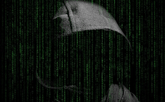 Manta Network在交易所上市后不久遭受DDoS攻击-第1张图片-欧易下载