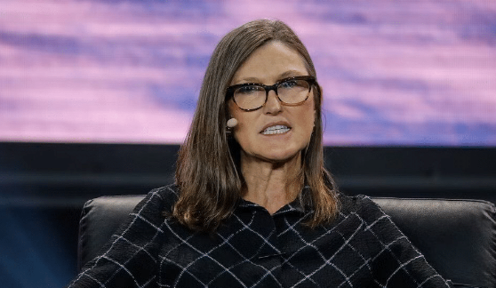 ARK 首席执行官Cathie Wood称比特币是“所有加密创意中最大的”-第1张图片-欧易下载