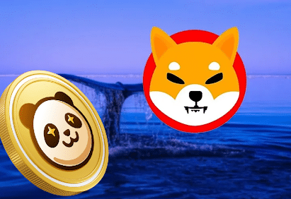 PAMBO成为SHIB成功的竞争者-第1张图片-欧易下载